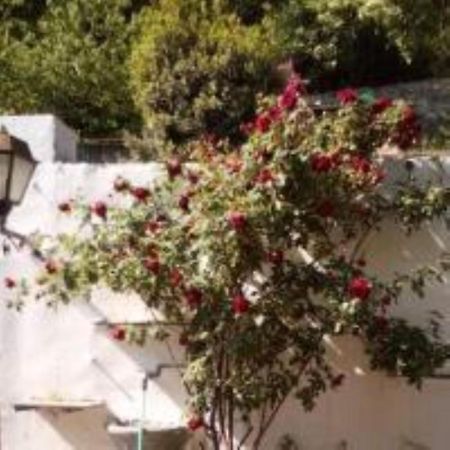 Cose Preziose Hotel Azeglio Bagian luar foto